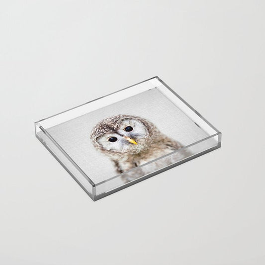 Baby Owl - Colorful Acrylic Tray Gallery Image 2