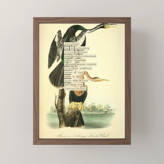 Bird Divinations: Snake Bird (about: almanacofbirds.org) Mini Art Print Gallery Image 2