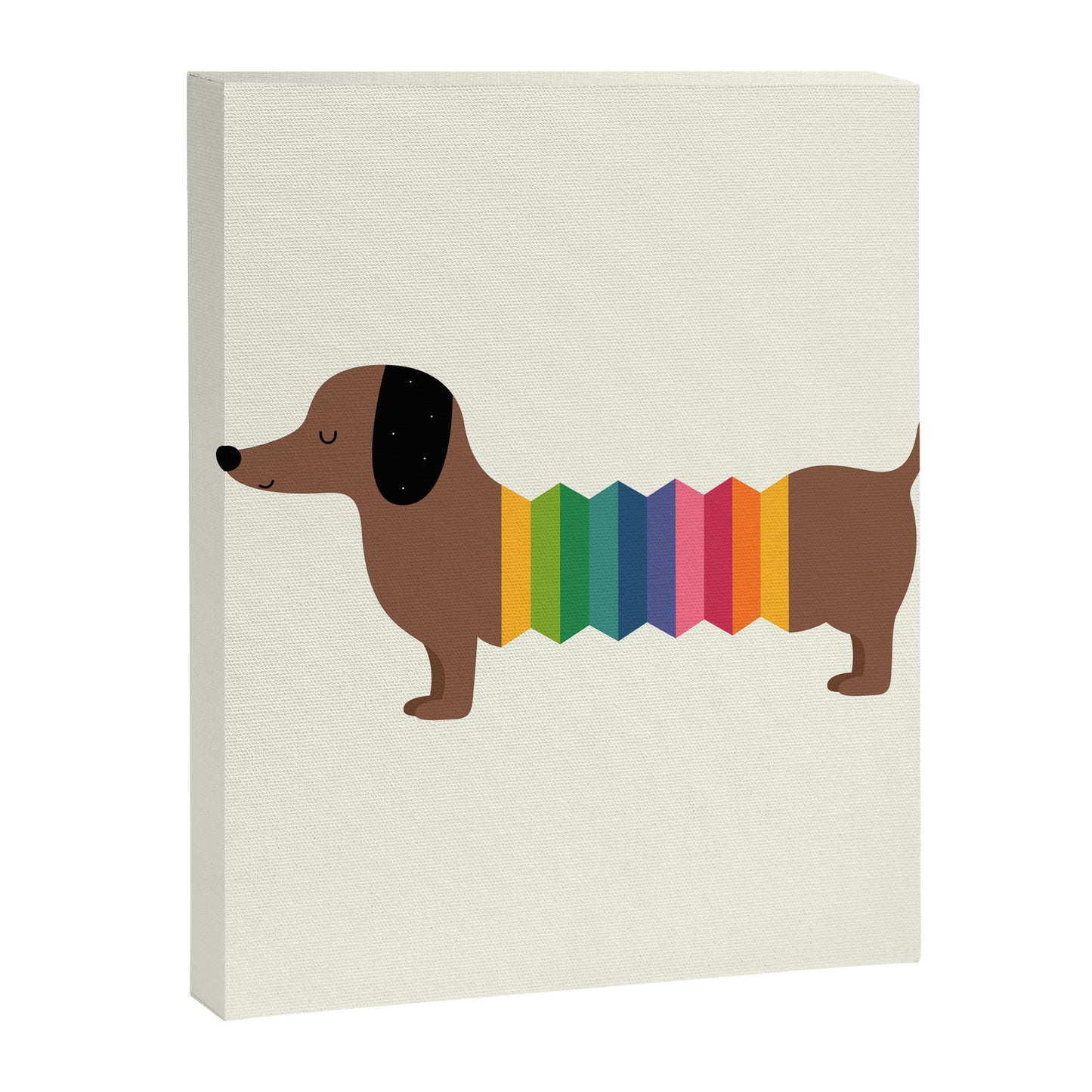 Rainbow Dooooog Canvas Print Gallery Image 2
