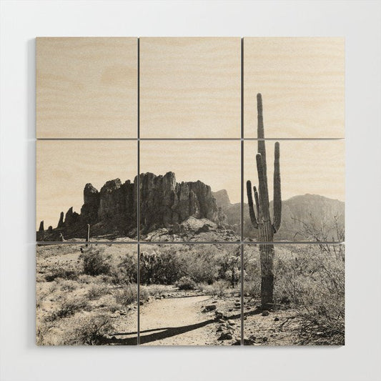 ARIZONA DESERT II Wood Wall Art Gallery Image 2