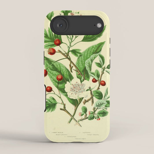 Hawthorn by Anne Pratt, 1800s (benefitting The Nature Conservancy) iPhone Case Gallery Image 2