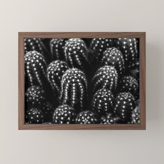 Cactus nature XIII Mini Art Print Gallery Image 2