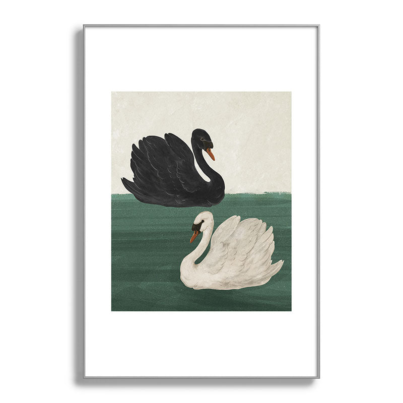Black Swan White Swan Framed Art Print Gallery Image 60