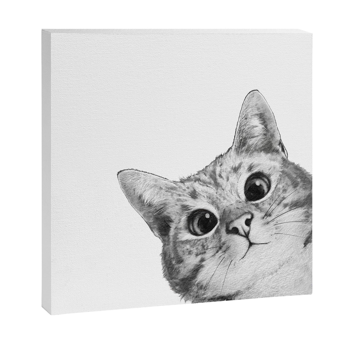 sneaky cat Canvas Print Gallery Image 9