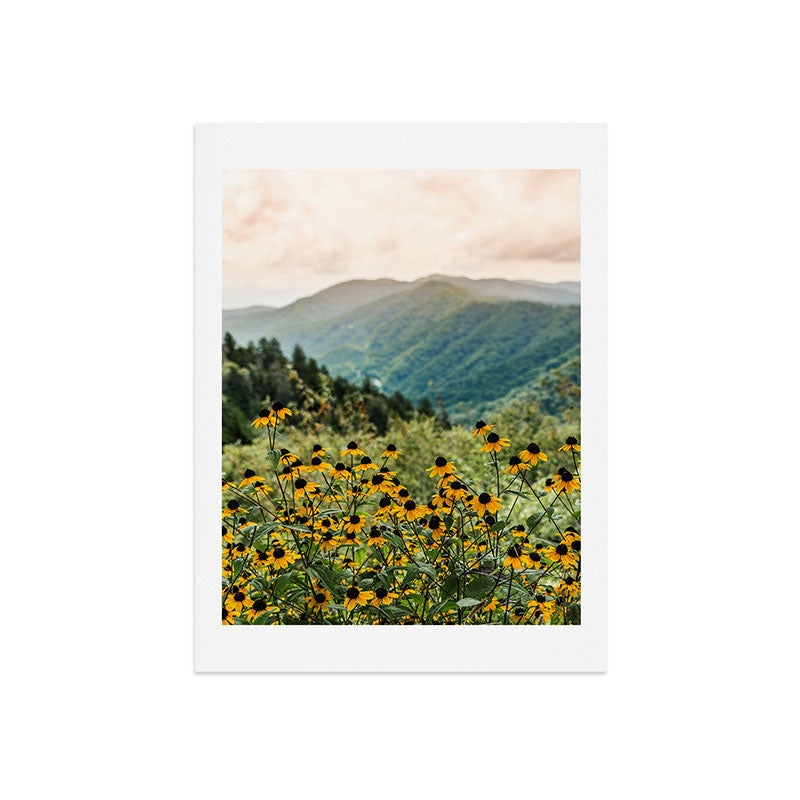 Smoky Mountains Wildflower Nature Photography Art Print Gallery Image 7