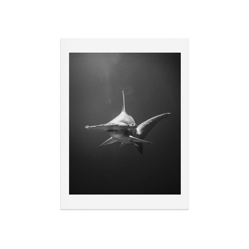 Hammerhead Shark (Black and White) Art Print Gallery Image 7