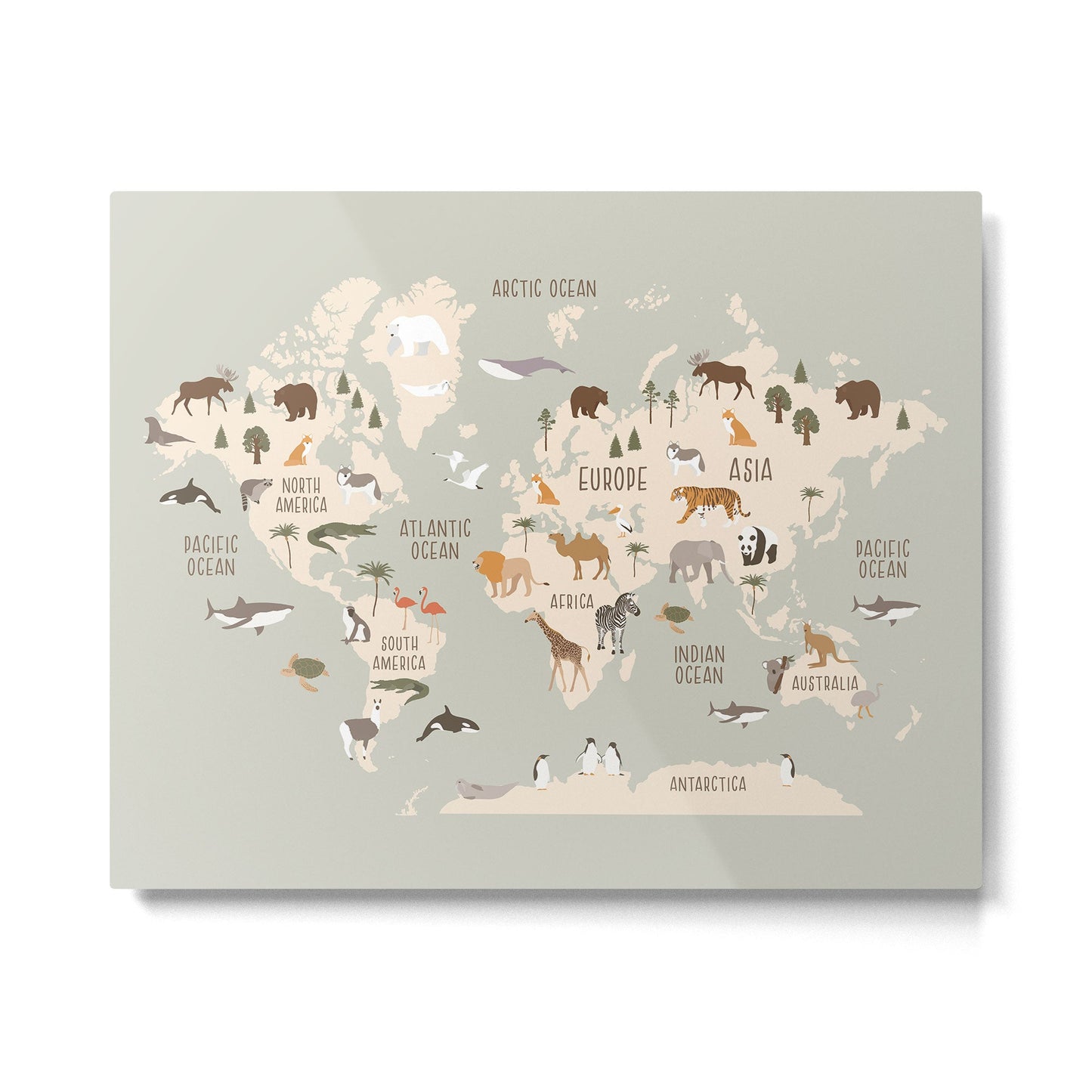 Kids world map with animals in green Metal Print Gallery Image 3