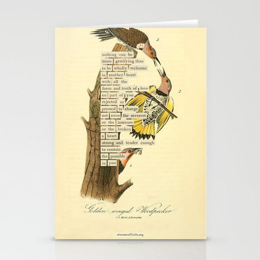 Bird Divinations: Golden-Winged Woodpecker (about: almanacofbirds.org) Stationery Card Gallery Image 1