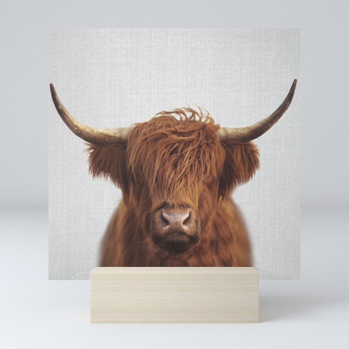 Highland Cow - Colorful Mini Art Print Gallery Image 5