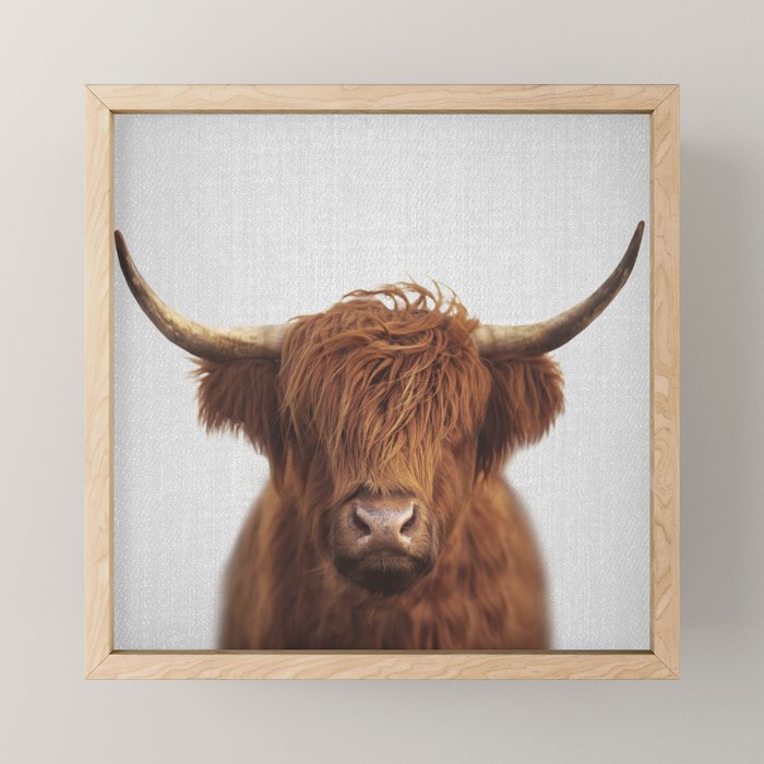 Highland Cow - Colorful Mini Art Print Gallery Image 1