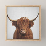Highland Cow - Colorful Mini Art Print Gallery Image 1