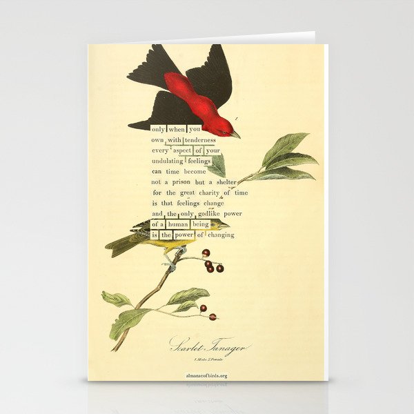 Bird Divinations: Scarlet Tanager (about: almanacofbirds.org) Stationery Card Gallery Image 1