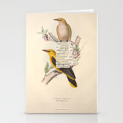 Bird Divinations: Golden Oriole (about: almanacofbirds.org) Stationery Card Gallery Image 2