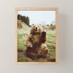 Hi Bear Mini Art Print Gallery Image 1