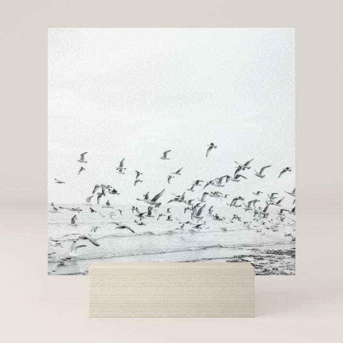 "Seagulls" | Coastal black and white photo | Film photography | Beach - square Mini Art Print Gallery Image 5