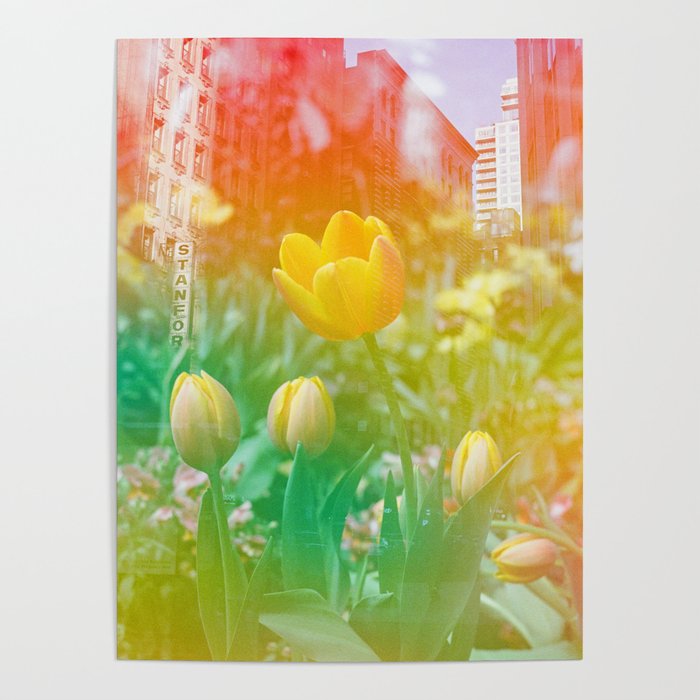 Center of the Universe Poster Gallery Image 3