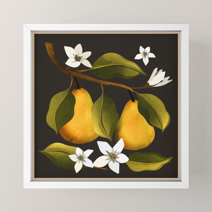 Pears Botanical Art 1 Mini Art Print Gallery Image 4
