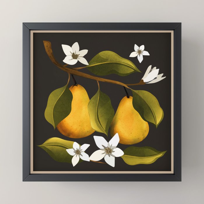 Pears Botanical Art 1 Mini Art Print Gallery Image 3
