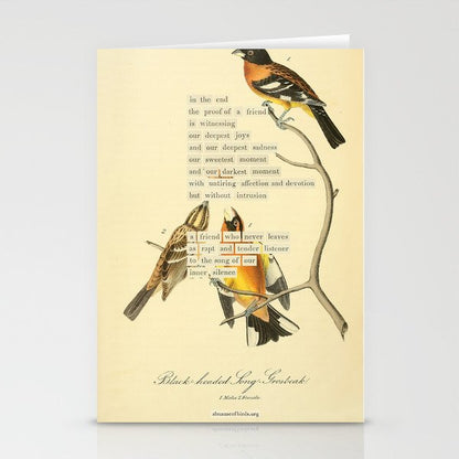 Bird Divinations: Black-headed Song-grosbeak (about: almanacofbirds.org) Stationery Card Gallery Image 2