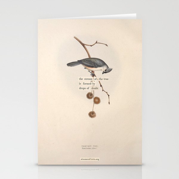 Bird Divinations: Toupet Tit (about: almanacofbirds.org) Stationery Card Gallery Image 2