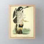Bird Divinations: Snake Bird (about: almanacofbirds.org) Mini Art Print Gallery Image 1