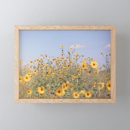 Texas Sunflower Field Mini Art Print Gallery Image 1