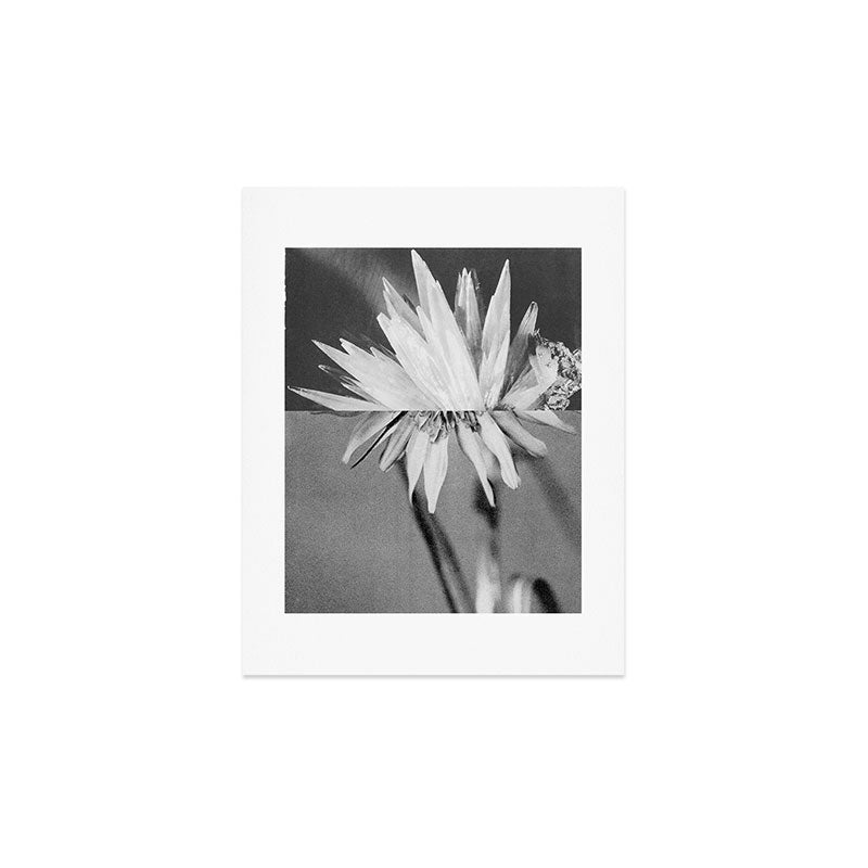 Paired Frames - Flower Art Print Gallery Image 3