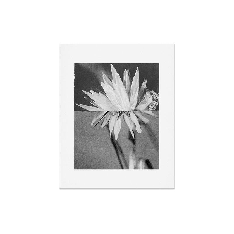 Paired Frames - Flower Art Print Gallery Image 5