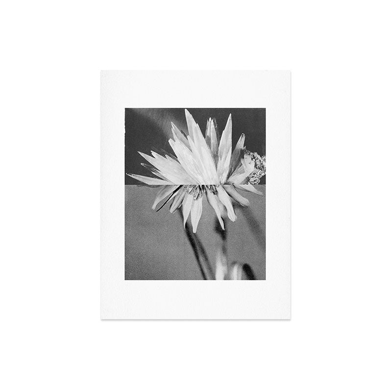 Paired Frames - Flower Art Print Gallery Image 6