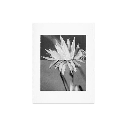 Paired Frames - Flower Art Print Gallery Image 6