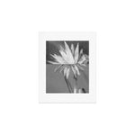 Paired Frames - Flower Art Print Gallery Image 1