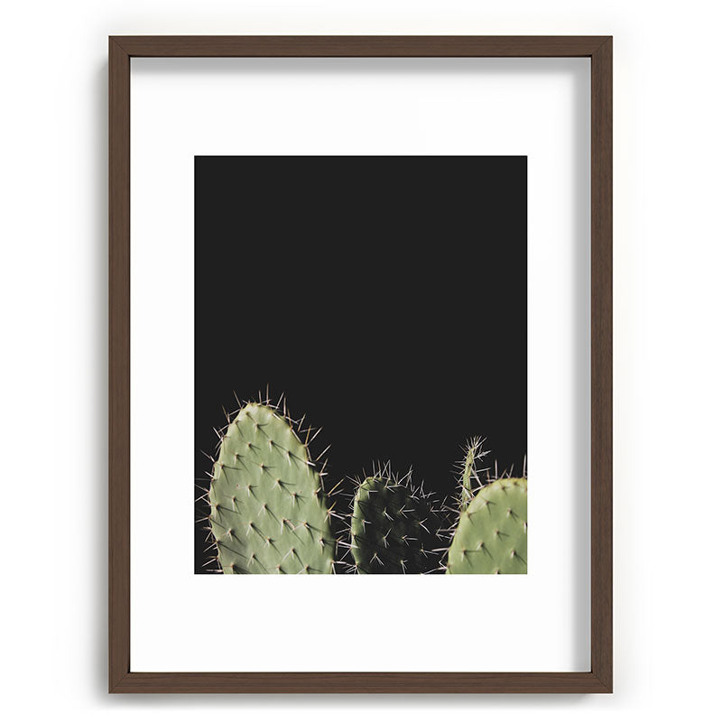 Cactus Framed Art Print Gallery Image 67