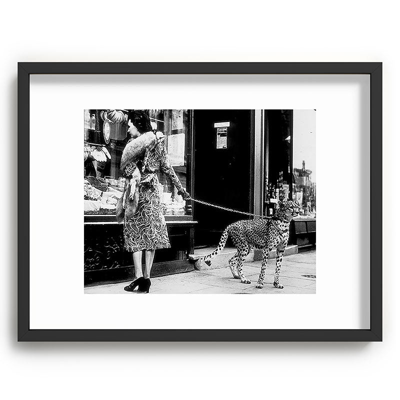 Woman Walking Pet Cheetah in London, 1939 Framed Art Print Gallery Image 60