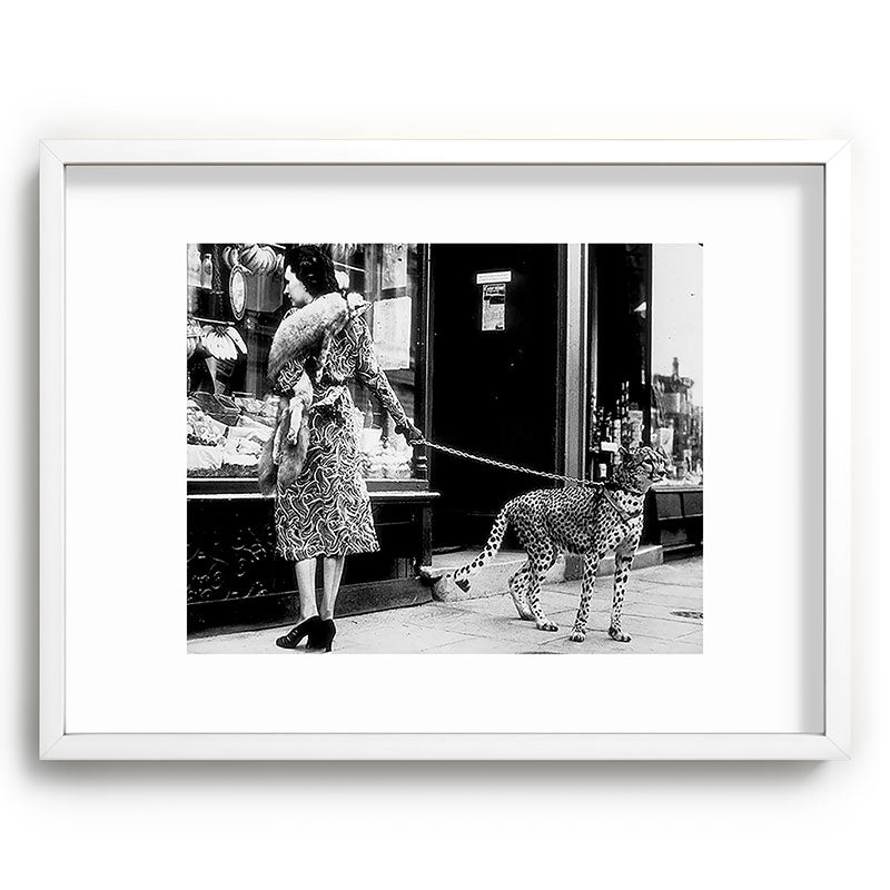 Woman Walking Pet Cheetah in London, 1939 Framed Art Print Gallery Image 79