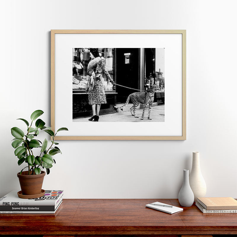 Woman Walking Pet Cheetah in London, 1939 Framed Art Print Gallery Image 49