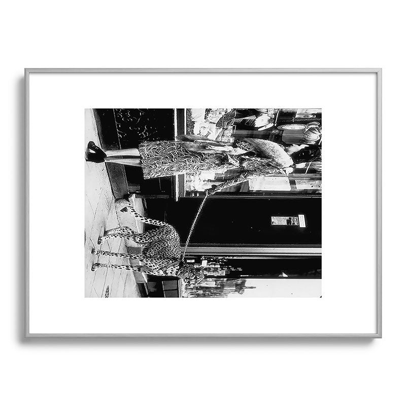 Woman Walking Pet Cheetah in London, 1939 Framed Art Print Gallery Image 98