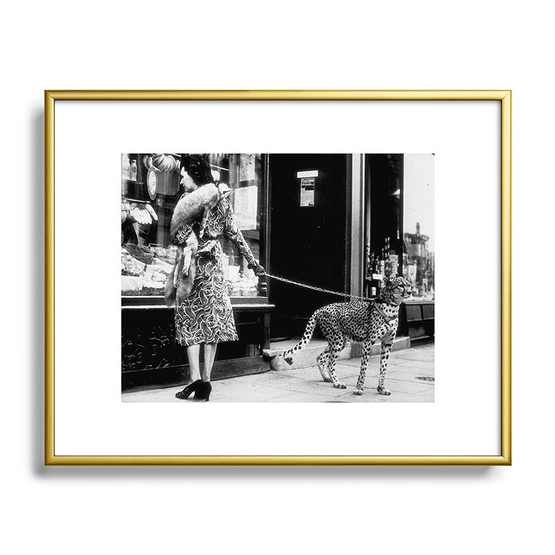 Woman Walking Pet Cheetah in London, 1939 Framed Art Print Gallery Image 88