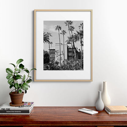 Beverly Hills Hotel, California black and white photograph / black and white photography Framed Art Print Gallery Image 29