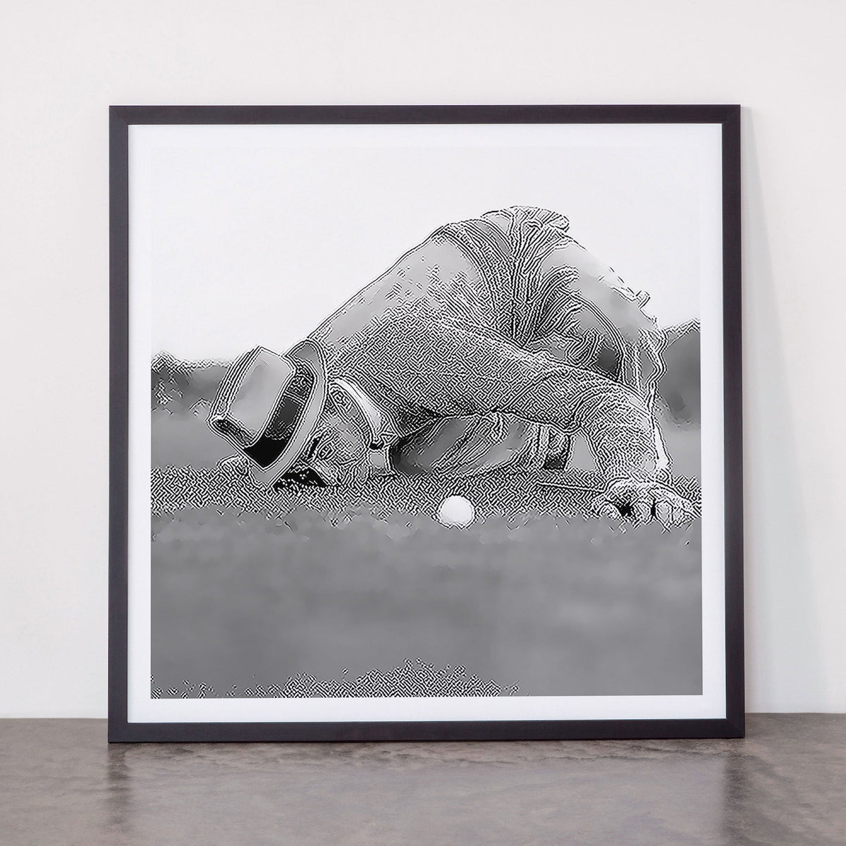 Eye to the ground on the 18th hole; golfing man eyes ball to measure distance to hole vintage black and white portrait photograph - photography - photographs poster Framed Art Print Gallery Image 55