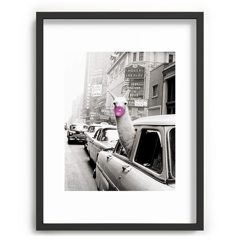 Perfect Pink Bubble Gum Llama taking a New York Taxi black and white photograph Framed Art Print Gallery Image 83