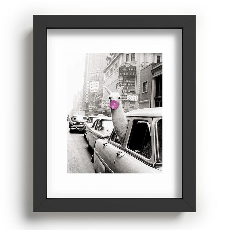 Perfect Pink Bubble Gum Llama taking a New York Taxi black and white photograph Framed Art Print Gallery Image 80