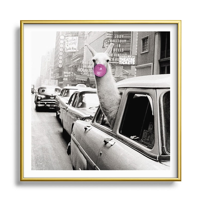 Perfect Pink Bubble Gum Llama taking a New York Taxi black and white photograph Framed Art Print Gallery Image 133