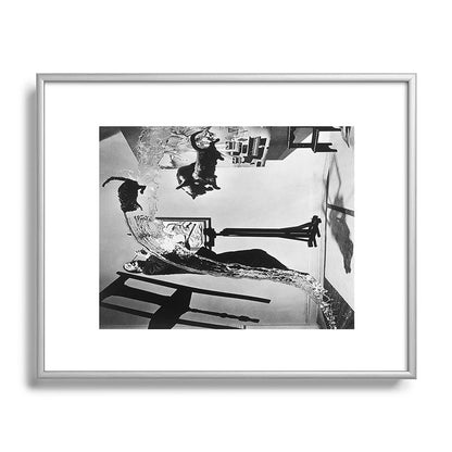 Dalí Atomicus, Salvador Dali painting with flying cats and water spurts surrealism / surrealist black and white photograph / photography by Philippe Halsman Framed Art Print Gallery Image 129