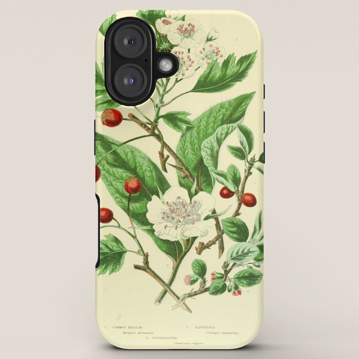 Hawthorn by Anne Pratt, 1800s (benefitting The Nature Conservancy) iPhone Case Gallery Image 5
