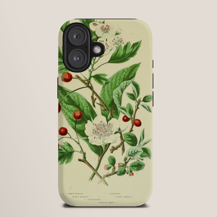 Hawthorn by Anne Pratt, 1800s (benefitting The Nature Conservancy) iPhone Case Gallery Image 9