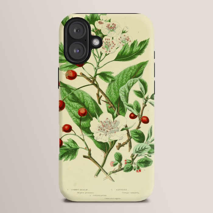 Hawthorn by Anne Pratt, 1800s (benefitting The Nature Conservancy) iPhone Case Gallery Image 14