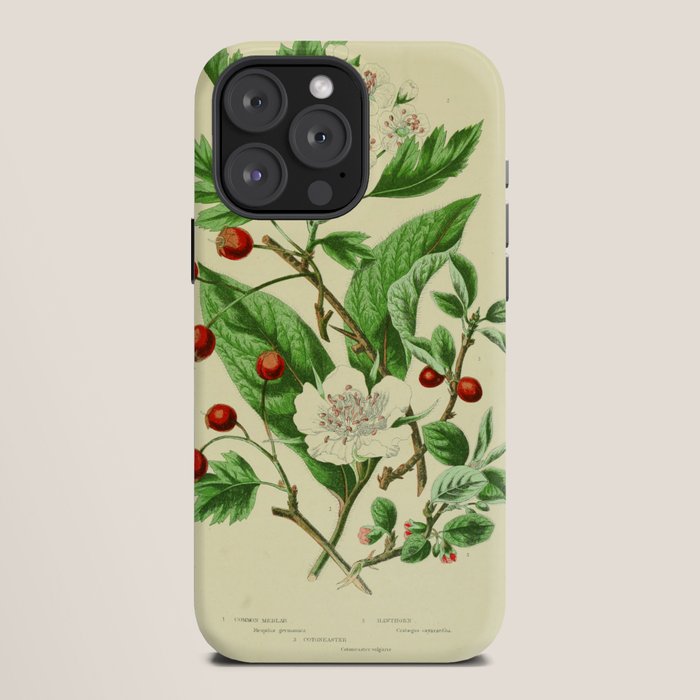 Hawthorn by Anne Pratt, 1800s (benefitting The Nature Conservancy) iPhone Case Gallery Image 12