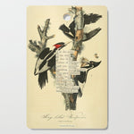 Bird Divinations: Ivory-Billed Woodpecker (about: almanacofbirds.org) Cutting Board Gallery Image 1
