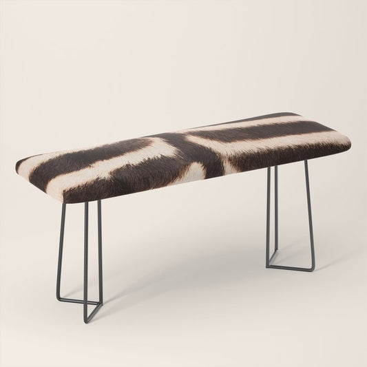 Zebra - zebra stripes -zebra skin - genuine - beautiful Bench Gallery Image 1