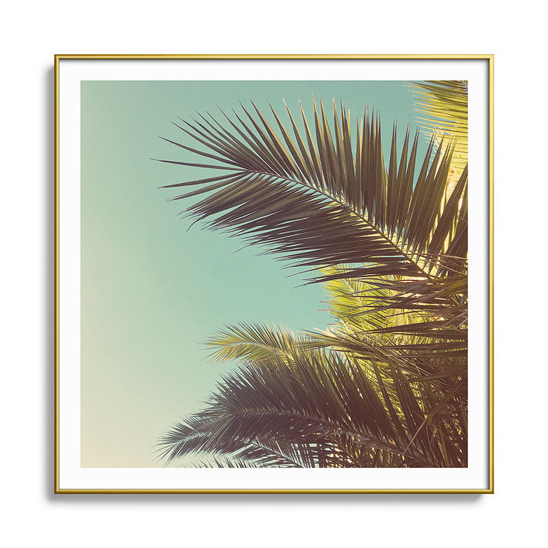 Autumn Palms Framed Art Print Gallery Image 136